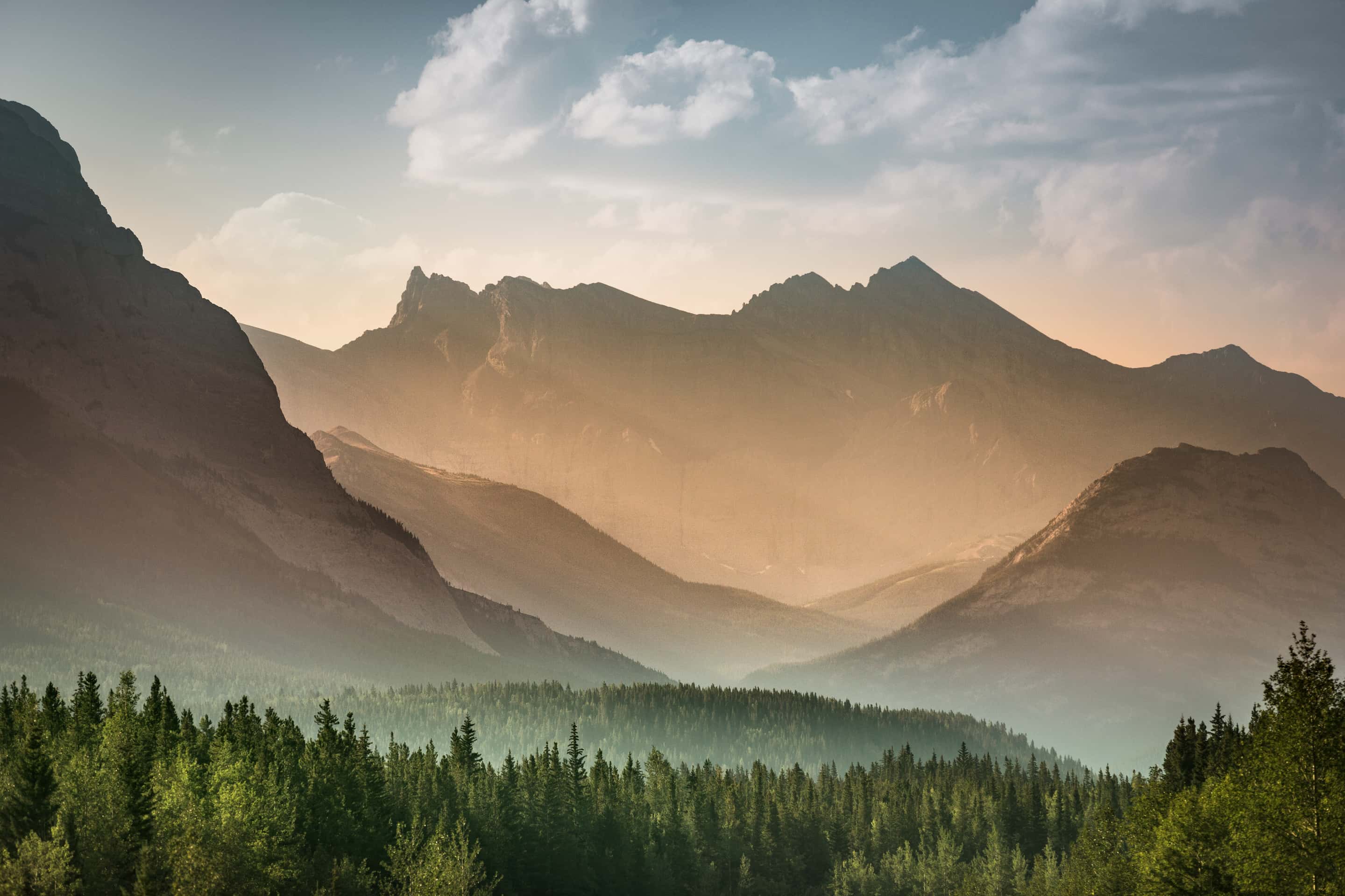 Successive mountain ridgelines fading into warm haze above a pine forest at first light.